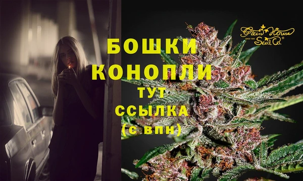 прущие грибы Осинники
