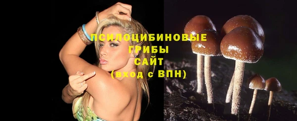 мдпв Остров