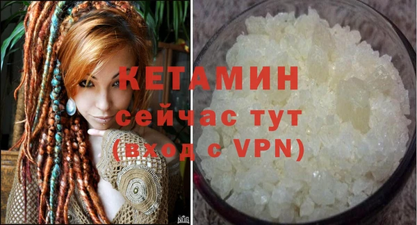 прущие грибы Осинники
