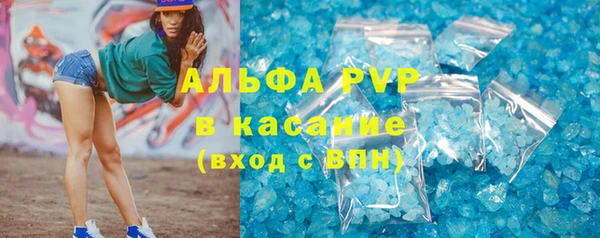 прущие грибы Осинники