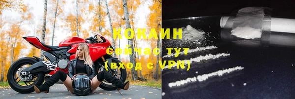 прущие грибы Осинники