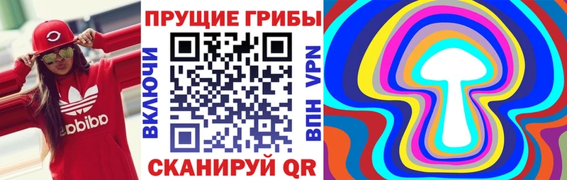Псилоцибиновые грибы Magic Shrooms  что такое   Благовещенск 