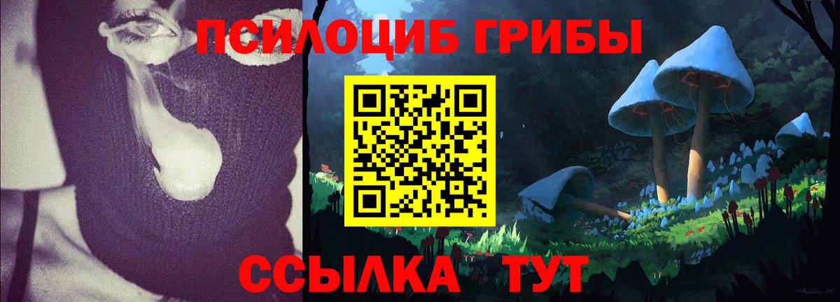 Псилоцибиновые грибы прущие грибы Благовещенск